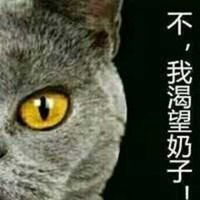  萌贱猫狗的情侣头像卡通猫狗情侣头像一左一右