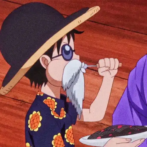  海贼王头像自由并不是放纵,那是火一般的梦想