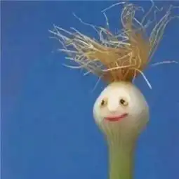  史上最全沙雕情侣头像合集哈哈哈哈哈哈哈哈哈