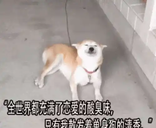  罗晋唐嫣庆结婚两周年,满桌玫瑰花片尽显浪漫,素颜近照让人惊讶