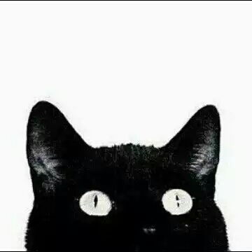  猫咪的情侣头像