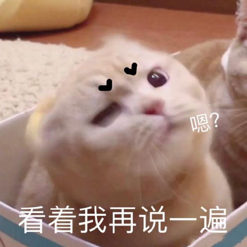  视频里常用的表情包分享