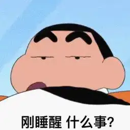  蜡笔小新系列沙雕表情包