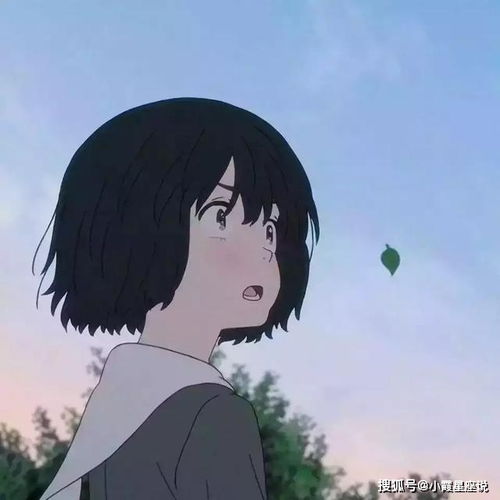  12星座怎么才能不过分的在意他人的想法双子是情商高的表现