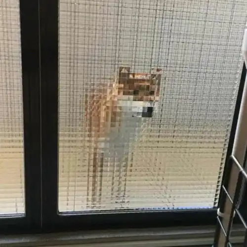  我的收藏夹
