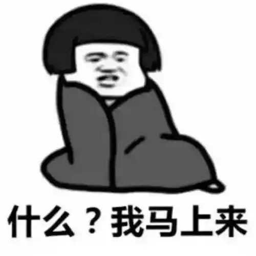  这个周日志玲姐姐和小龙将出现在这里
