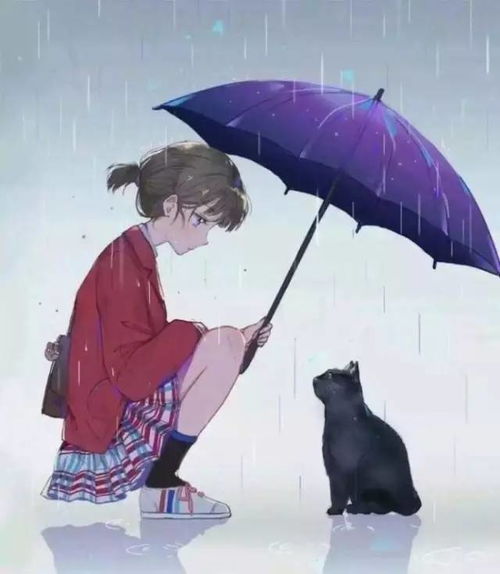  下雨天,有人给流浪猫咪撑了把伞......