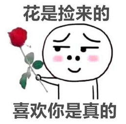 又纯又撩的情侣头像表情