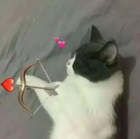 ins超火情头,会骗你生孩子的那种,网友叫小号来换上 ins超火情头,会骗你生孩子的那种,网友叫小号来换上