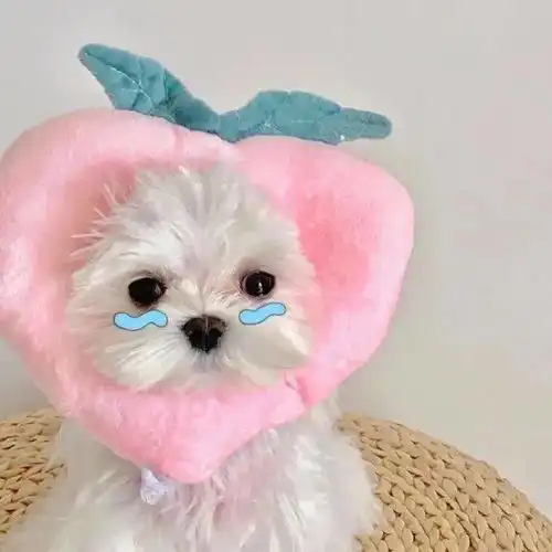  单身狗勿点,恋爱必备情侣头像