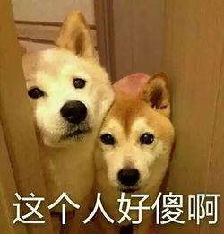  那个得了产后抑郁的爸爸,自杀了