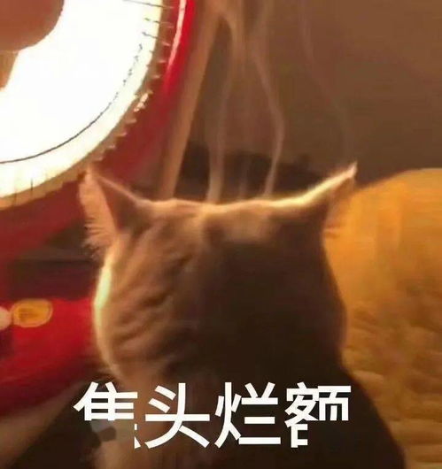  新年tips别让焦虑绑架你的人生