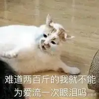  动物超级搞笑表情包微信头像图片大全