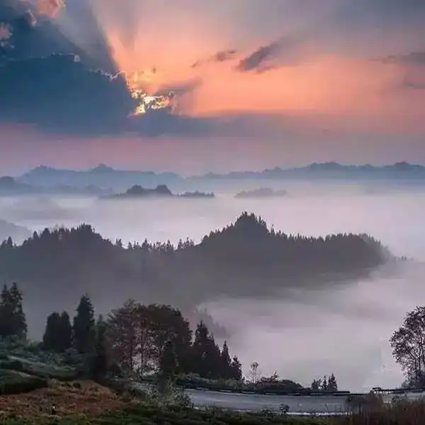 让孩子成为最好的自己 让孩子成为最好的自己