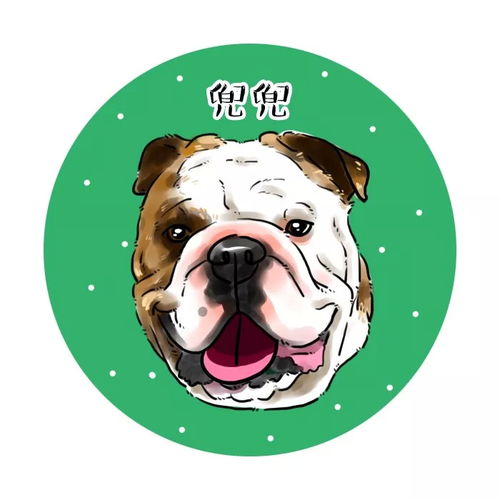  宠物斗牛犬可爱卡通漫画头像,你来嗮我来画