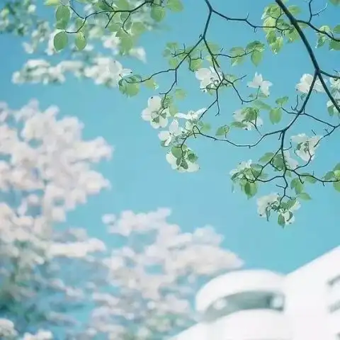 时间熨平记忆,也给人勇气  时间熨平记忆,也给人勇气