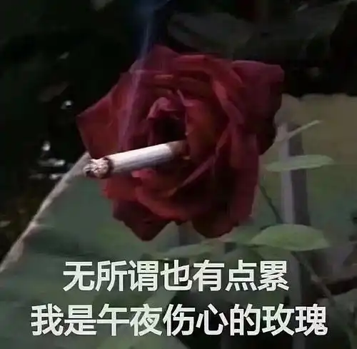 可爱沙雕头像表情包我是大哥大