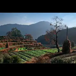  婺源小景
