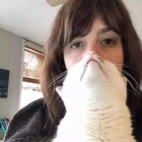 男友手臂拍照已经过时啦现在流行我有猫下巴 男友手臂拍照已经过时啦现在流行我有猫下巴