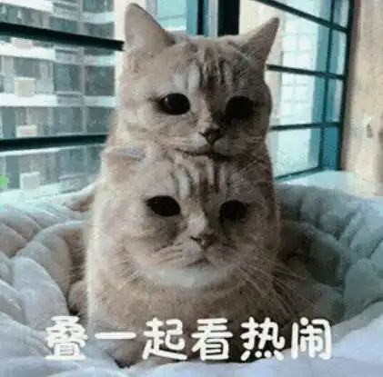  国庆是孩子长高黄金期做好这3件事,有望多长10厘米