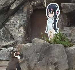  企鹅被女友甩后爱上动漫女孩上演跨物种爱恋走红网络