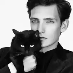  与下面这张图,相对应的情头,谁知道