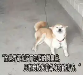  宅男的终极梦想萌妹机器人女友已上线