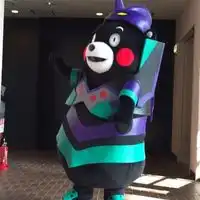  熊本熊可爱头像无字版日本熊本熊头像