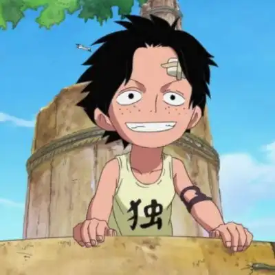  海贼王asl三兄弟头像