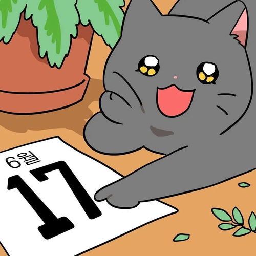  送你一沓可爱猫猫,拿去做头像吧