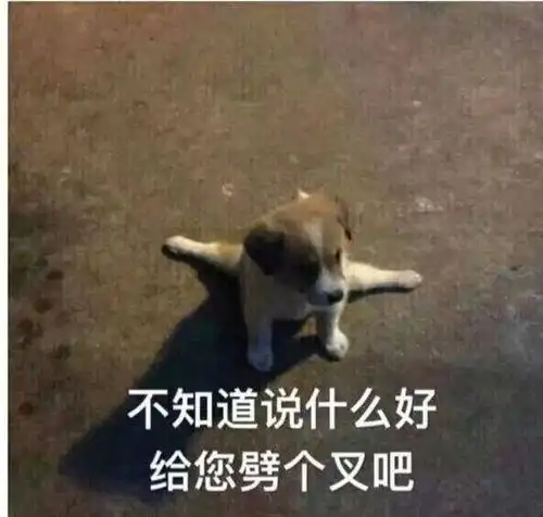 表情包头像搞笑图片打鸣