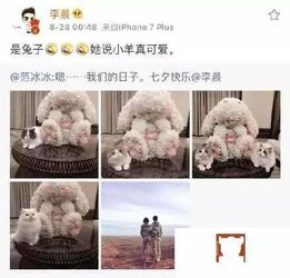  36岁的范冰冰终于嫁给了爱情看求婚细节就知道李晨究竟多爱她