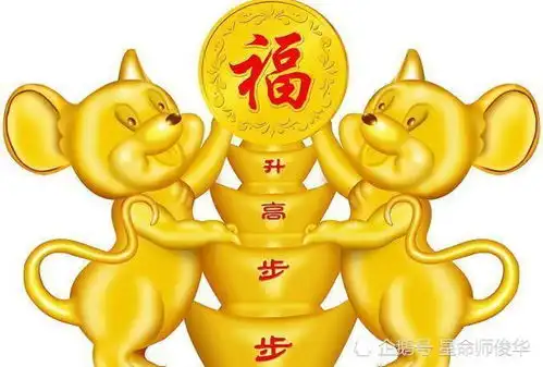  年后会有升职加薪之喜的生肖
