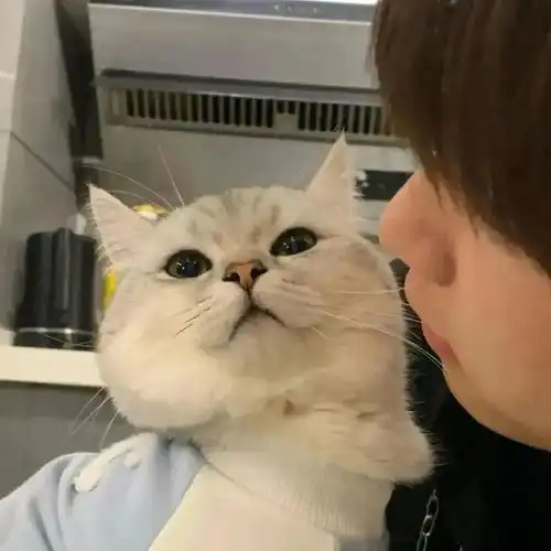 精选头像合集 精选头像合集