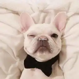  求这两张高清无水印