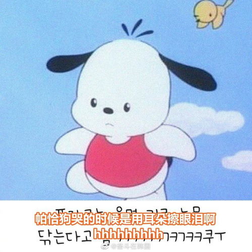  可爱住了帕恰狗哭的时候使用耳朵擦眼泪