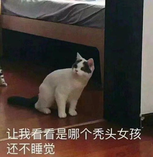  不要在该拼搏的年纪选择了安逸这都什么鬼话