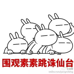 国家欠我一个哥哥系列,摸头杀怀中抱妹杀背锅杀,护妹狂魔您还缺可以做女朋友的妹妹吗