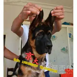  北京黄页88网