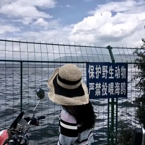  情头丨情侣头像