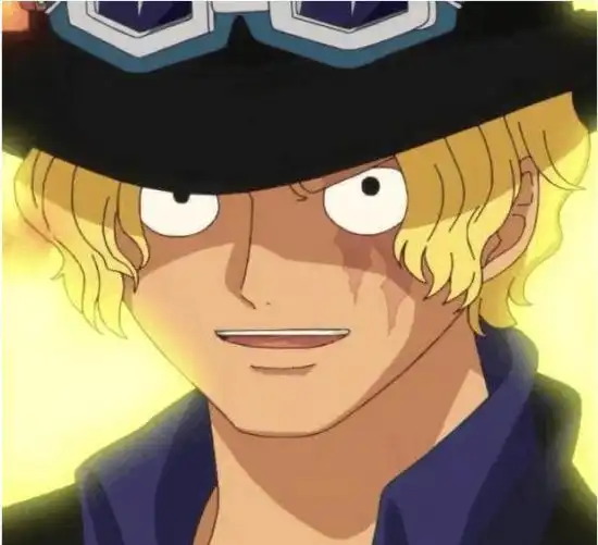  海贼王,这就是尾田对强者的官方设定千万别惹脸上有疤的男人