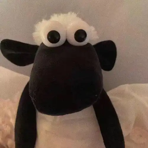 最后一个暑假还是在家吵架了 最后一个暑假还是在家吵架了