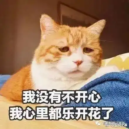  如今我们所过的七夕节...