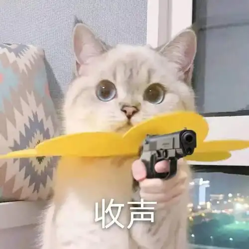  这是,土味复兴