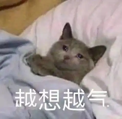  表情包手插口袋,谁都不爱