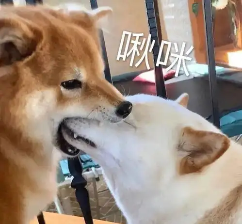  充满灵魂的沙雕表情包