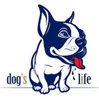  斗牛犬卡通图片头像卡通斗牛犬头像微信头像图片大全