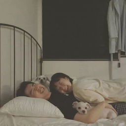  养大型犬是一种怎样的体验