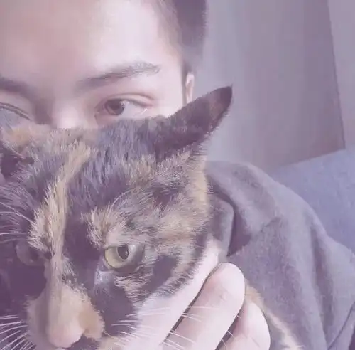 可爱情侣头像动物范闲