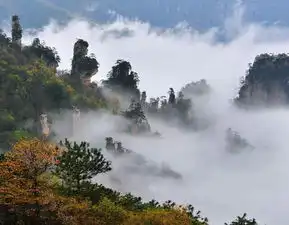  张家界最最详细的,深度旅游攻略张家界游记攻略